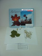 Гербарий "Медоносные растения" (24 вида) - fgospostavki.ru - Белово