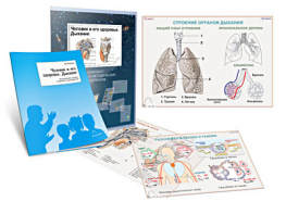 Комплект кодотранспарантов "Человек и его здоровье. Дыхание" - fgospostavki.ru - Белово