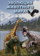 DVD "Эволюция животного мира" - fgospostavki.ru - Белово