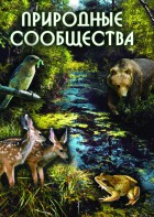 DVD "Природные сообщества" - fgospostavki.ru - Белово