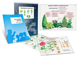 Комплект кодотранспарантов "Культурные растения" - fgospostavki.ru - Белово