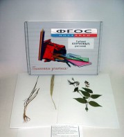 Гербарий "Кормовые растения" (20 видов) - fgospostavki.ru - Белово