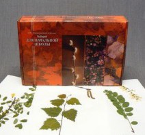 Гербарий для Начальной школы (28 видов) - fgospostavki.ru - Белово