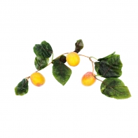 Ветка муляжей "Абрикосы" - fgospostavki.ru - Белово