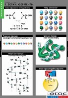 Комплект таблиц. Биология. Химия клетки. - fgospostavki.ru - Белово