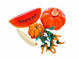 Набор муляжей "Бахчевые культуры" - fgospostavki.ru - Белово