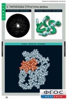 Комплект таблиц. Химия. Белки и нуклеиновые кислоты. - fgospostavki.ru - Белово