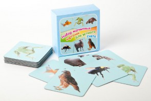 Набор магнитных карточек "Устный счет" (фон голубой) - fgospostavki.ru - Белово