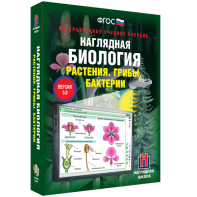 Наглядная биология. 6 класс. Растения. Грибы. Бактерии - fgospostavki.ru - Белово