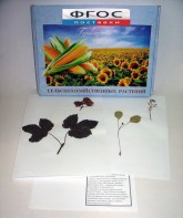 Гербарий "Сельскохозяйственные растения" (28 видов) - fgospostavki.ru - Белово