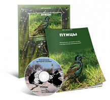 Электронное наглядное пособие «Птицы» - fgospostavki.ru - Белово