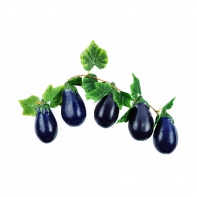 Ветка муляжей "Баклажаны" - fgospostavki.ru - Белово