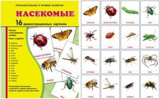 Демонстрационные карточки "Насекомые" - fgospostavki.ru - Белово