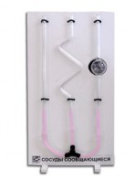 Сосуды сообщающиеся (вариант 2) - fgospostavki.ru - Белово