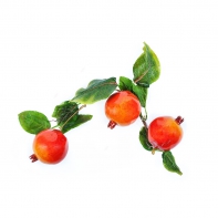 Ветка муляжей "Гранат" - fgospostavki.ru - Белово