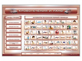 Трехсекционный базовый комплект "Травмы. Кровотечения. Ожоги" для учащихся общеобразовательных учреждений - fgospostavki.ru - Белово