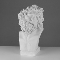 Бюст Лаокоона (гипс) - fgospostavki.ru - Белово