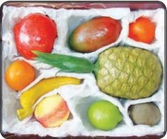 Набор муляжей тропических фруктов - fgospostavki.ru - Белово