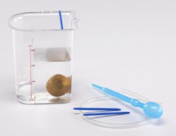 Сосуд Архимеда - fgospostavki.ru - Белово