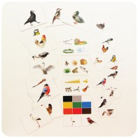 Набор магнитных карточек "Загадки-отрицания". Птицы - fgospostavki.ru - Белово