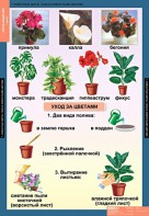 Комплект таблиц. Окружающий мир 1 класс. - fgospostavki.ru - Белово