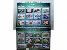 Комбинированный модульный комплекс "Лого-биолог" - fgospostavki.ru - Белово