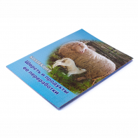 Коллекция "Шерсть и продукты ее переработки" - fgospostavki.ru - Белово