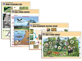 Комплект таблиц по биологии демонстрационных "Общая биология 2" (14 таблиц, формат А1, ламинированные) - fgospostavki.ru - Белово