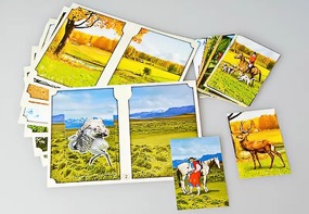 Настольно-печатная игра "Вокруг света" - fgospostavki.ru - Белово