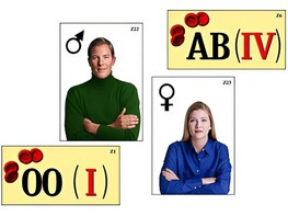 Модель-аппликация "Генетика групп крови" (ламинированная) - fgospostavki.ru - Белово