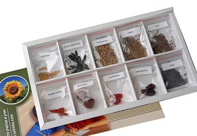 Коллекция "Плоды сельскохозяйственных растений" - fgospostavki.ru - Белово