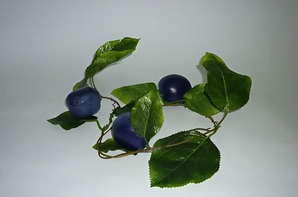 Ветка муляжей "Слива" - fgospostavki.ru - Белово