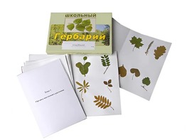 Гербарий "Морфология растений" (6 тем, 30 видов) - fgospostavki.ru - Белово