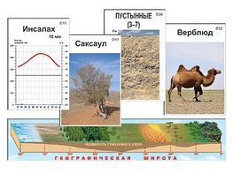 Модель-аппликация "Природные зоны" - fgospostavki.ru - Белово