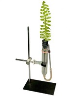 Прибор для демонстрации всасывания воды корнями - fgospostavki.ru - Белово