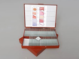 Комплект микропрепаратов "Анатомия" - fgospostavki.ru - Белово