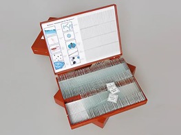 Комплект микропрепаратов "Ботаника 1" - fgospostavki.ru - Белово