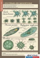 Комплект таблиц. Биология 7 класс. Животные. - fgospostavki.ru - Белово