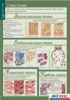 Комплект таблиц. Биология 8-9 класс. Человек. - fgospostavki.ru - Белово