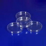 Чашка Петри 60 мл. ПП - fgospostavki.ru - Белово