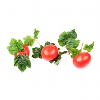 Ветка муляжей "Помидоры" - fgospostavki.ru - Белово