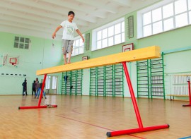 Бревно гимнастическое напольное постоянной высоты (700 мм) (5 м) - fgospostavki.ru - Белово