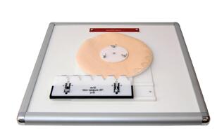 Комплекс "Изучение зубьев" - fgospostavki.ru - Белово