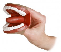 Муляж артикуляционного аппарата - fgospostavki.ru - Белово