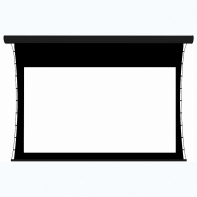 Экран настенный с электроприводом DSTPX-16915 - fgospostavki.ru - Белово
