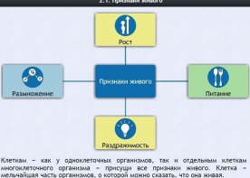 Интерактивные курсы. Биология 5 класс. Базовый - fgospostavki.ru - Белово