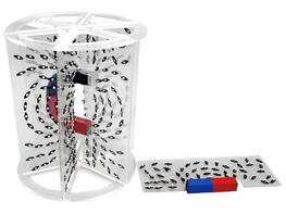 Модель для демонстрации в объеме линий магнитного поля - fgospostavki.ru - Белово