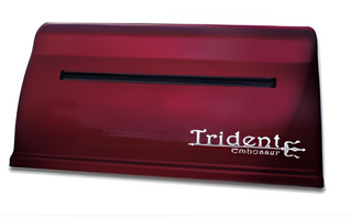 Принтер для печати рельефно-точечным шрифтом Брайля Trident - fgospostavki.ru - Белово