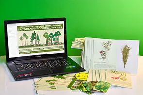 Гербарий натурально-интерактивный "Растительные сообщества. Лес" - fgospostavki.ru - Белово