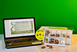 Коллекция натурально-интерактивная "Палеонтологическая" - fgospostavki.ru - Белово